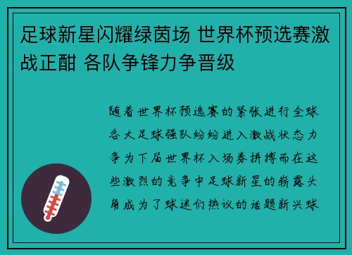 足球新星闪耀绿茵场 世界杯预选赛激战正酣 各队争锋力争晋级