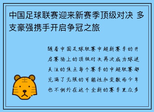 中国足球联赛迎来新赛季顶级对决 多支豪强携手开启争冠之旅